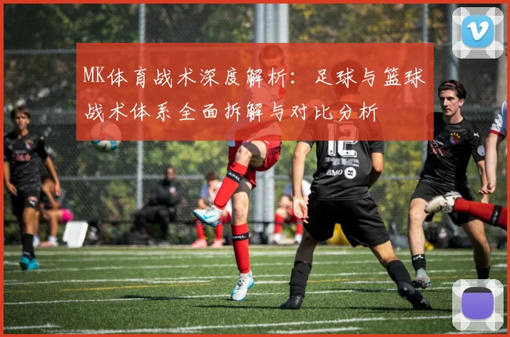 MK体育战术深度解析：足球与篮球战术体系全面拆解与对比分析