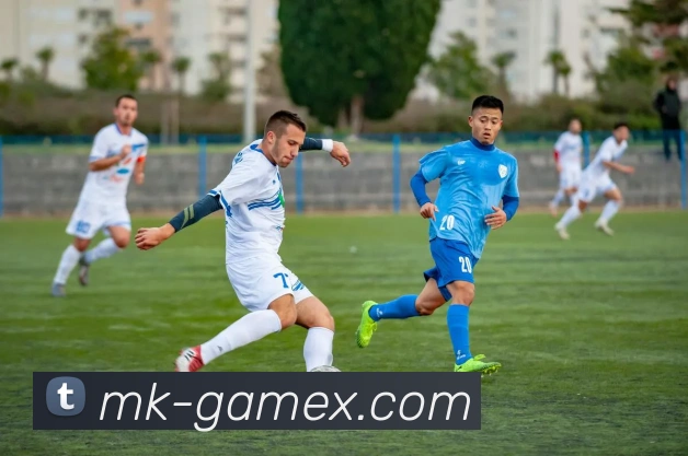 MK体育平台展示图