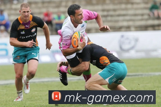 MK体育平台可靠吗真实用户体验分析与安全性全面评测指南详解与建议